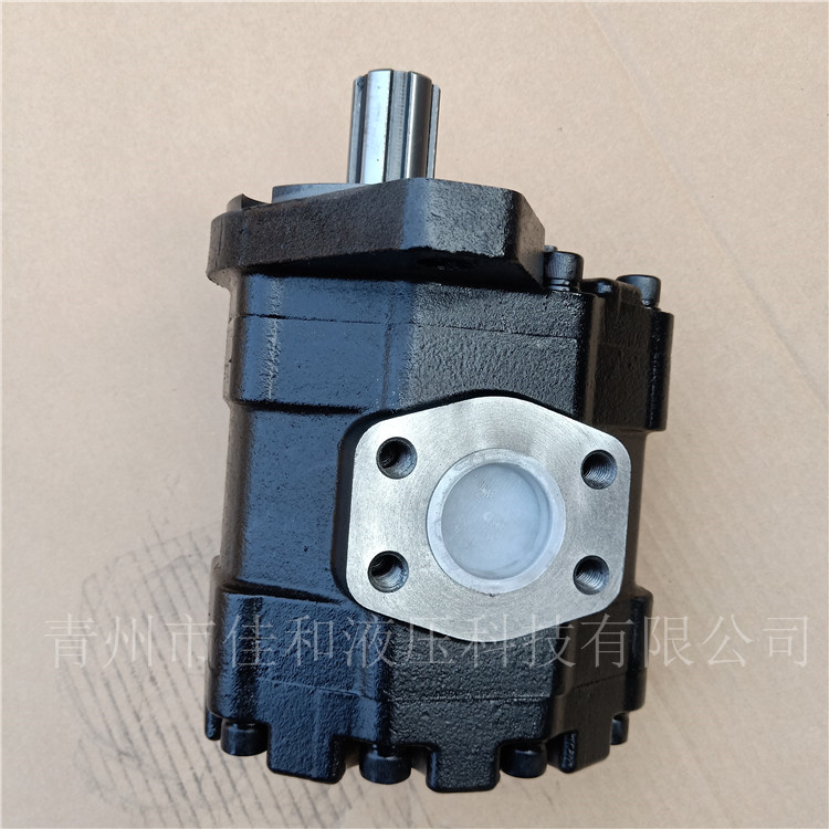 长江齿轮油泵  CBY3063-172L齿轮泵供应煤矿锚杆钻车