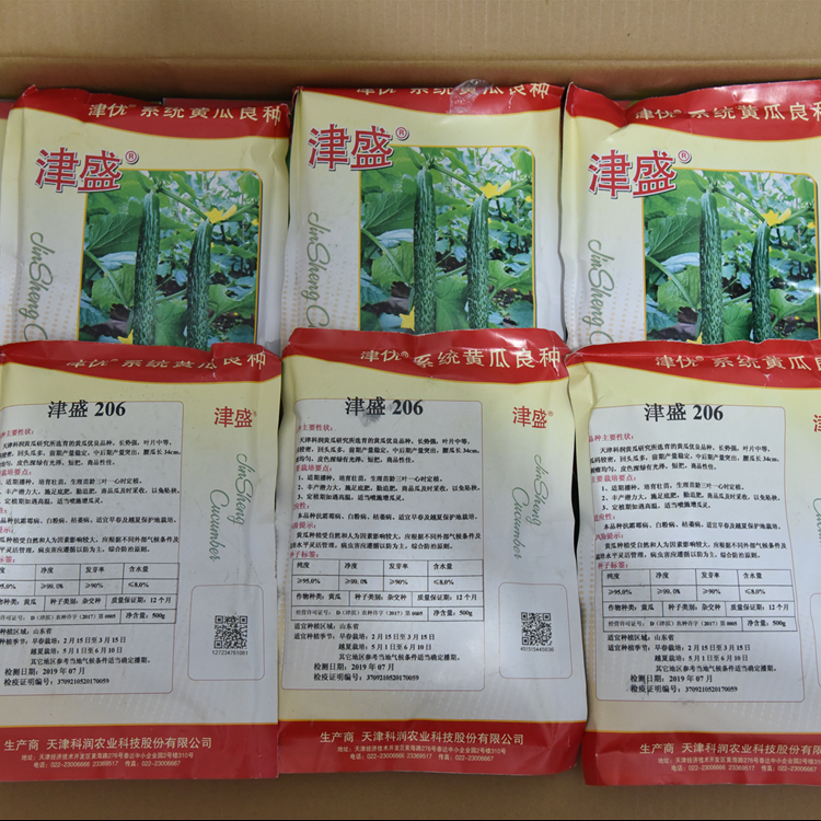津盛206黄瓜种苗 津盛206黄瓜种子津盛206黄瓜种苗 长势好  产量高