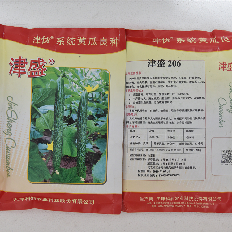 寿光温室种植全雌黄瓜种子 津盛越夏黄瓜种子  长势好耐储运