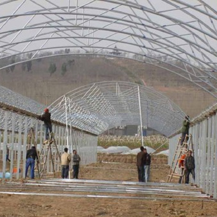 山东温室大棚建造商 薄膜温室大棚-建造山东温室大棚建造商