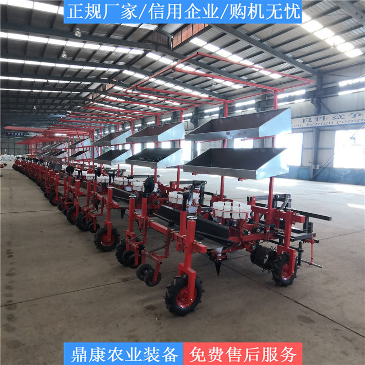 还魂草移栽机 牵引式药材移栽机 青州移栽机