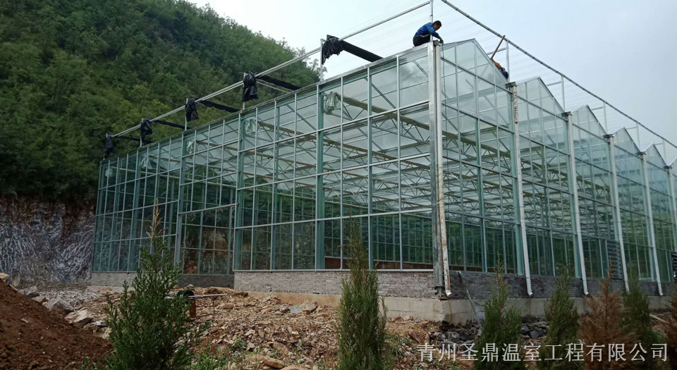 玻璃温室大棚造价 河南玻璃温室大棚承建商