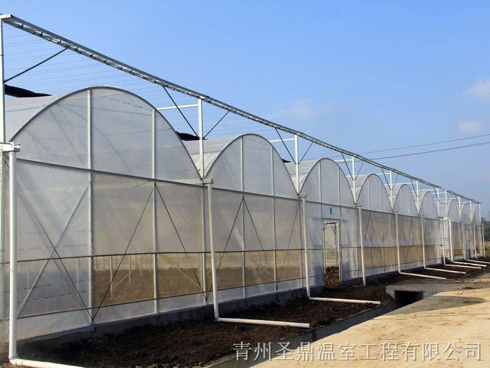 承建连栋温室 连栋温室造价 价格优惠