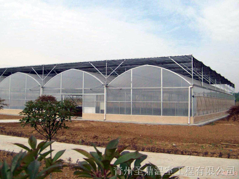 建造连栋薄膜温室 连栋薄膜温室报价 价格优惠