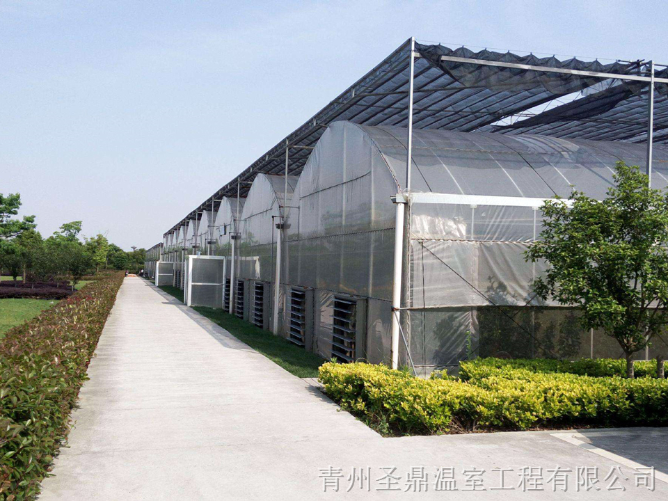 承建连栋薄膜温室 连栋薄膜温室成本 价格优惠