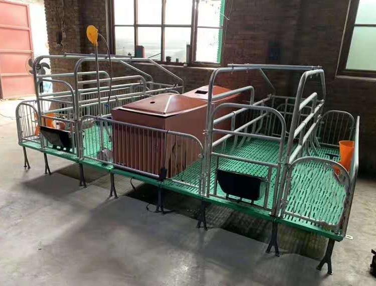 厂家定制母猪产床  热镀锌双体产床
