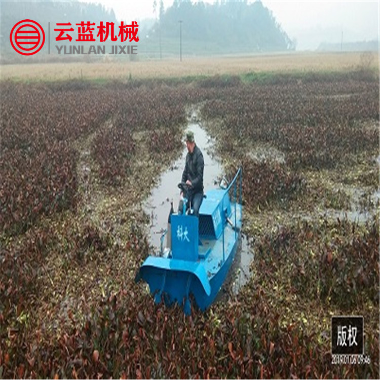 河道小型水葫芦水浮莲粉碎船 水花生水白菜粉碎机械厂家
