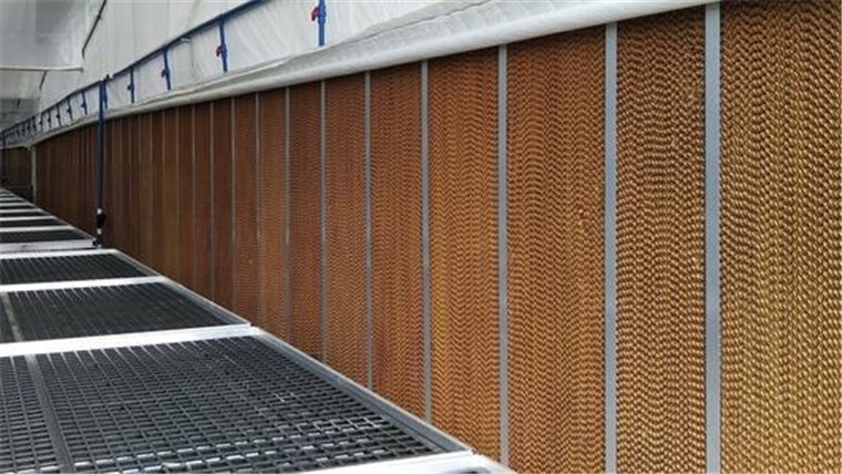 降温水帘 厂家定制直销温室大棚 养殖场降温设备