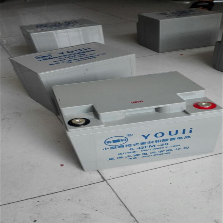 YOULI储能蓄电池6-FM-200 有利蓄电池12V200AH 直流屏 太阳能储能蓄电池