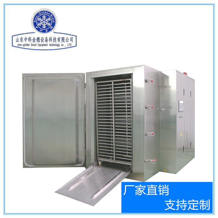 山东 中科金穗 液氮速冻柜 海参速冻柜 现货订购