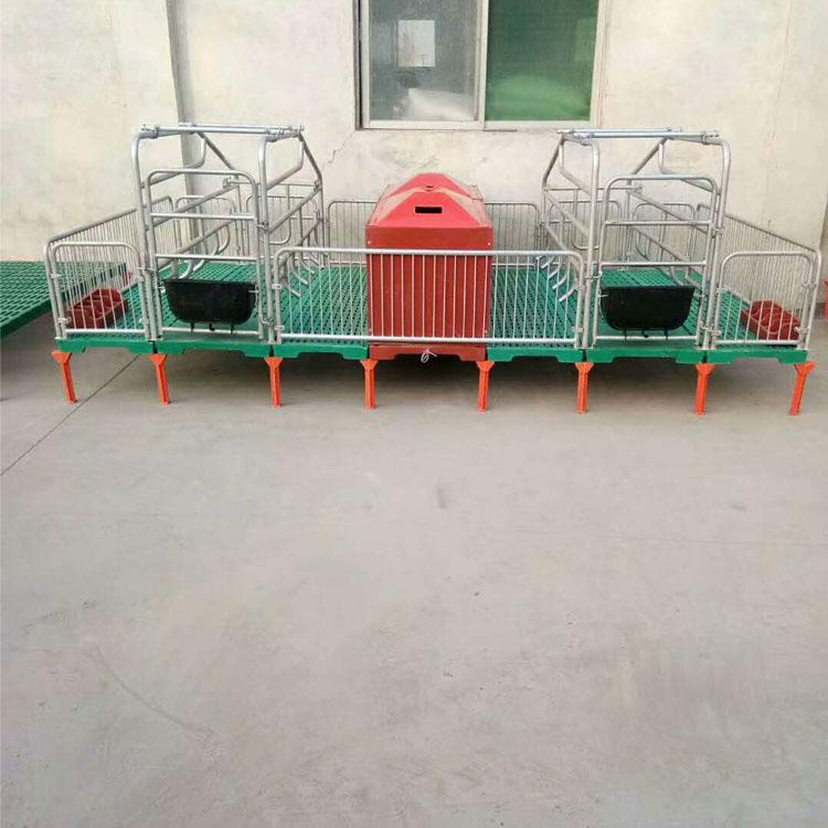 全复合双体母猪产床 厂家定制
