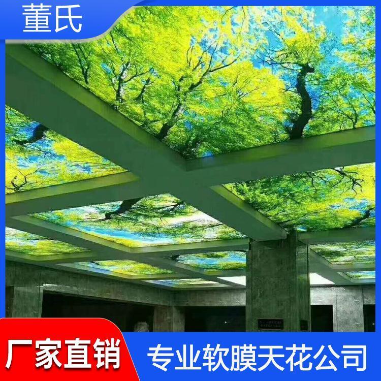 软膜天花 天津儿童游泳馆软膜天花吊顶 儿童游泳馆软膜天花吊顶生产安装一体