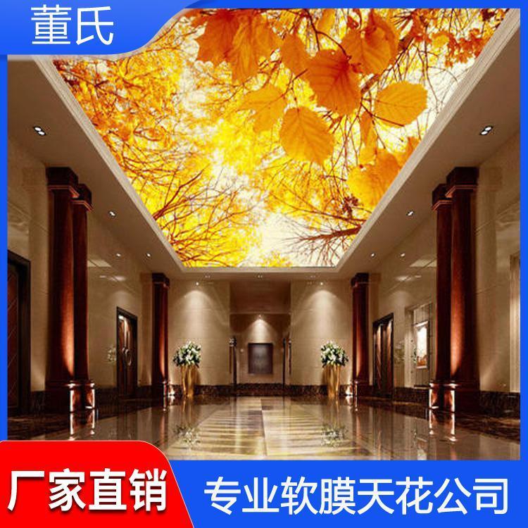 软膜天花 河北衡水游泳馆软膜天花吊顶 游泳馆软膜天花吊顶欢迎来电咨询