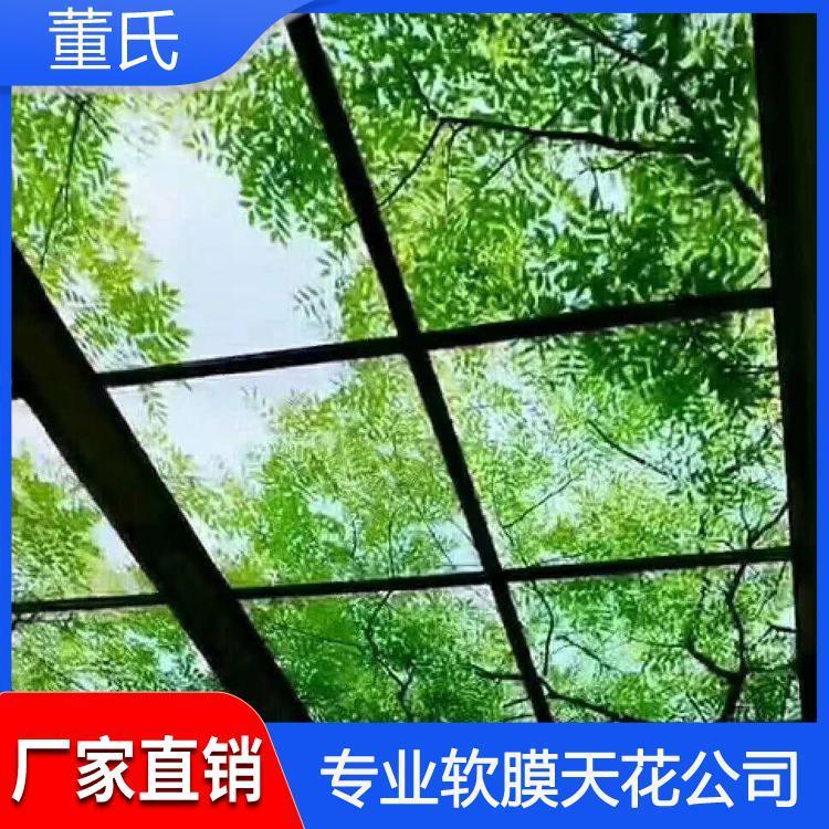 软膜天花 河北洗浴中心软膜天花 洗浴中心软膜天花耐腐蚀