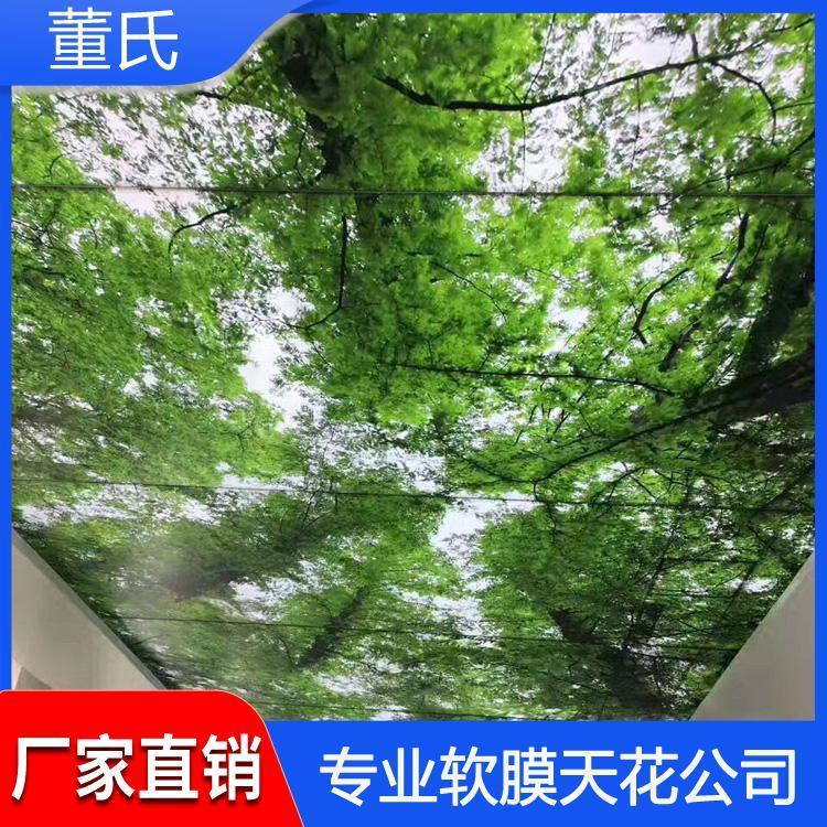 软膜天花 山东莱芜儿童游泳馆软膜天花吊顶 儿童游泳馆软膜天花吊顶工厂直销