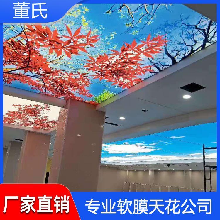 拉膜天花吊顶价格 防潮网吧吊顶天花 网吧吊顶天花生产安装一体