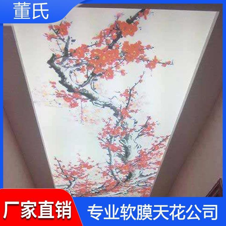软膜天花 陕西延安软膜天花喷绘 软膜天花喷绘报价