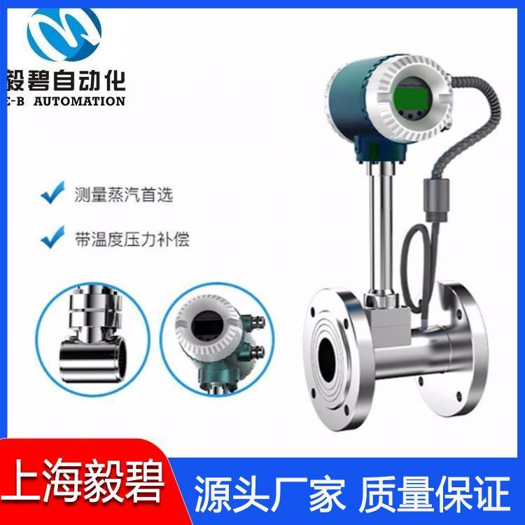 气体涡街流量计专业生产 插入式涡街流量计供应