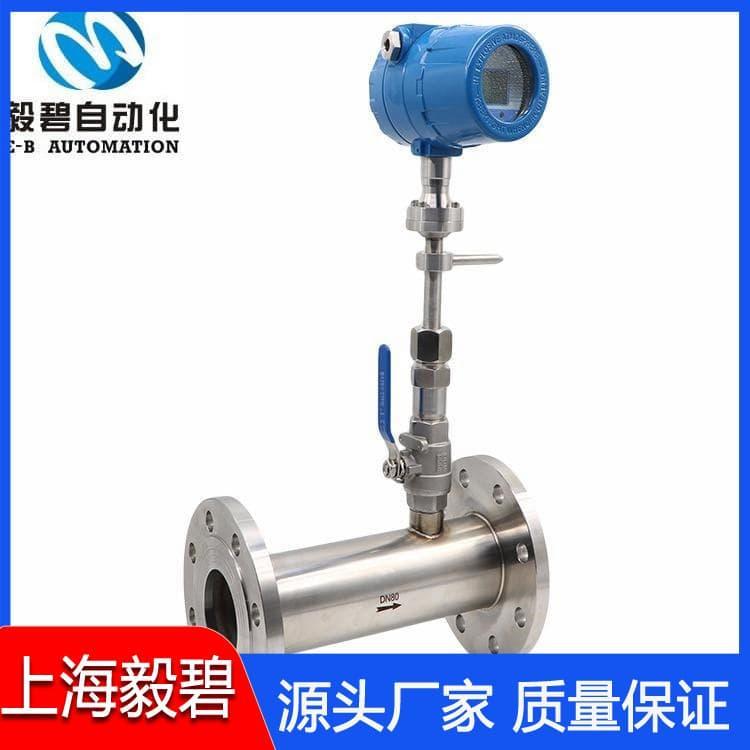 插入式热式气体质量流量计厂家直销 流量计价格