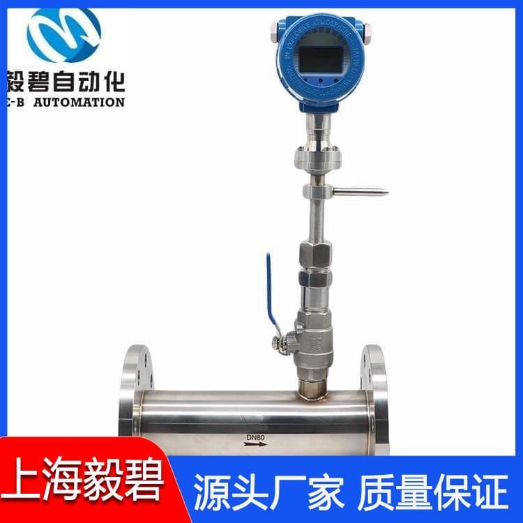 天然气热式气体质量流量计供应 气体流量计厂家供应