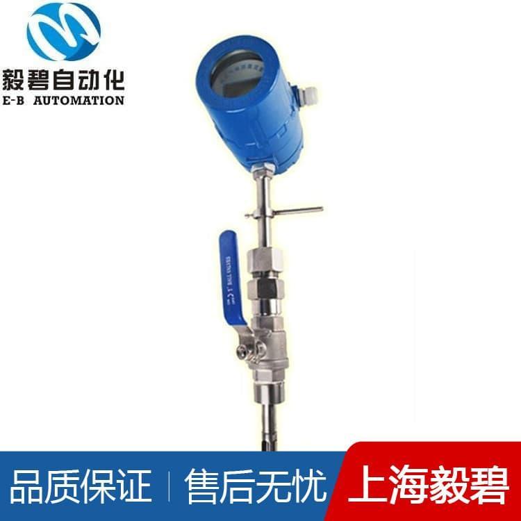 天然气热式气体质量流量计品质保证 热式质量流量计厂家直销
