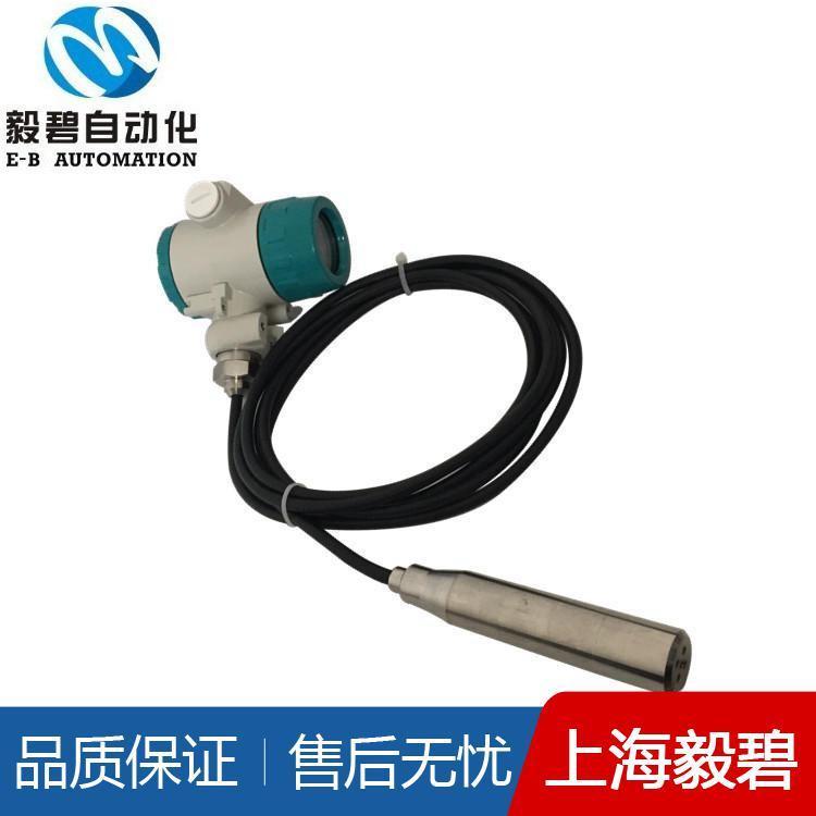 水池投入式液位变送器质量可靠 数显液位变送器厂家