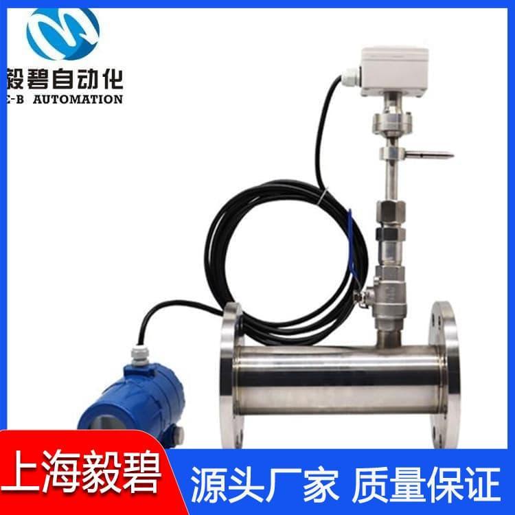 废气热式气体质量流量计品质保证 质量流量计可定做
