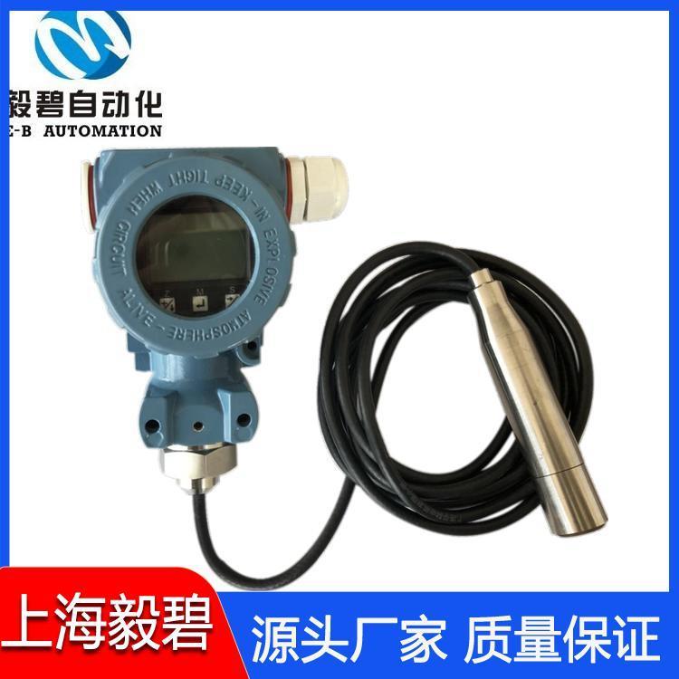 一体化投入式液位变送器供应 数显液位变送器供应