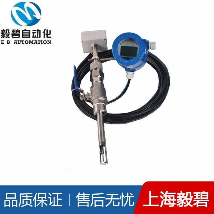 智能型热式气体质量流量计专业生产 流量计可定做