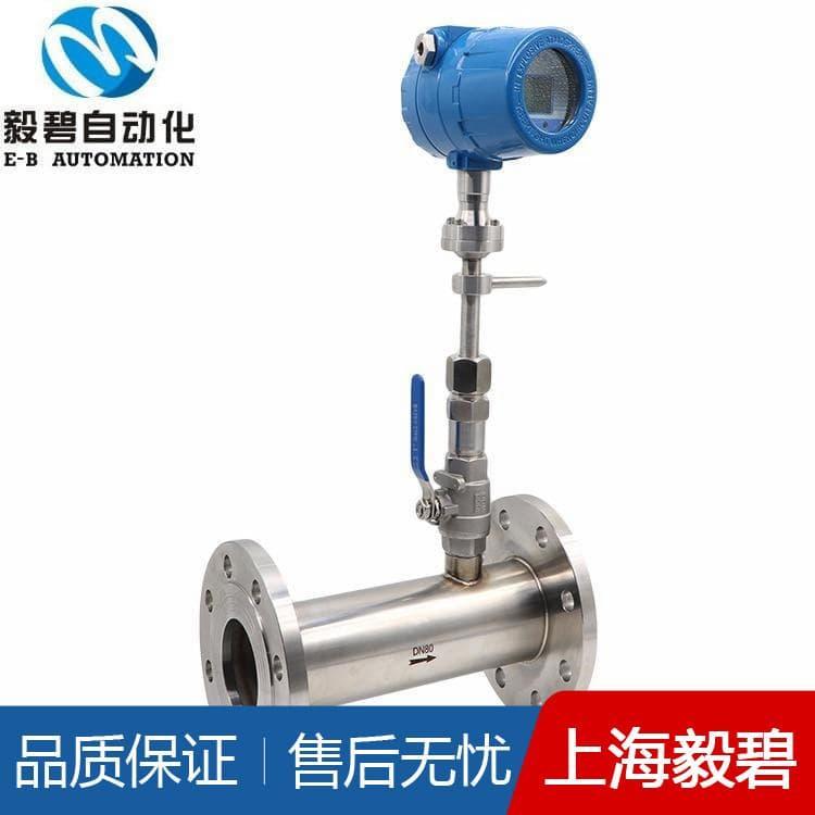 管道式热式气体质量流量计选型 气体流量计供应