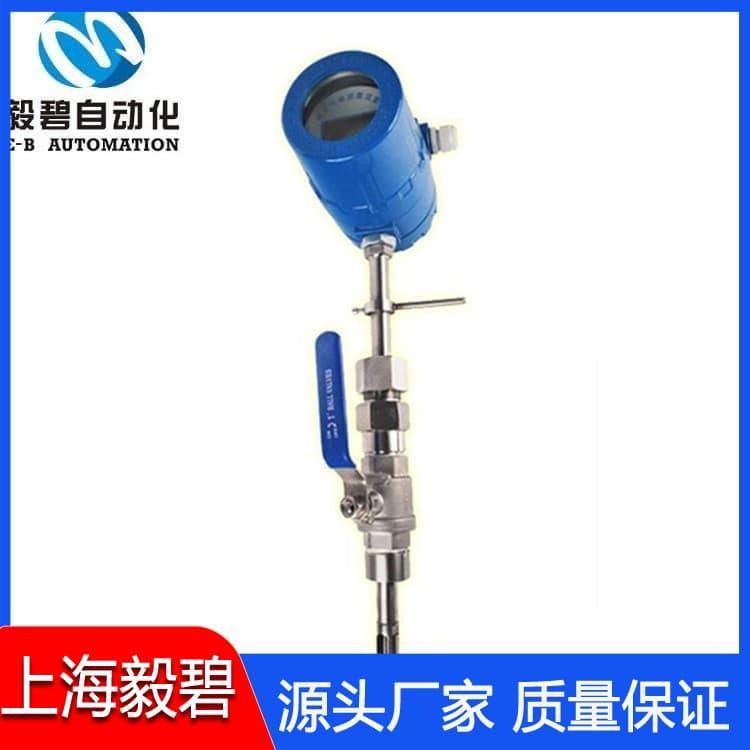 天然气热式气体质量流量计专业生产 流量计厂家