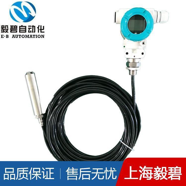 缆绳投入式液位变送器专业生产 数显液位变送器厂家