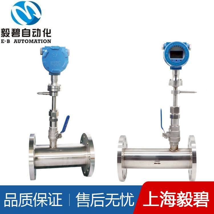 上海热式气体质量流量计选型安装 流量计价格优惠