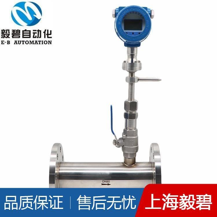 烟道烟气热式气体质量流量计选型 流量计品质保证