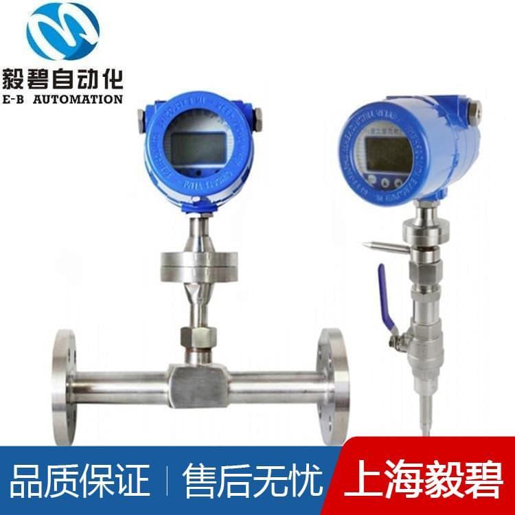 天然气热式气体质量流量计可定做 气体流量计选型安装