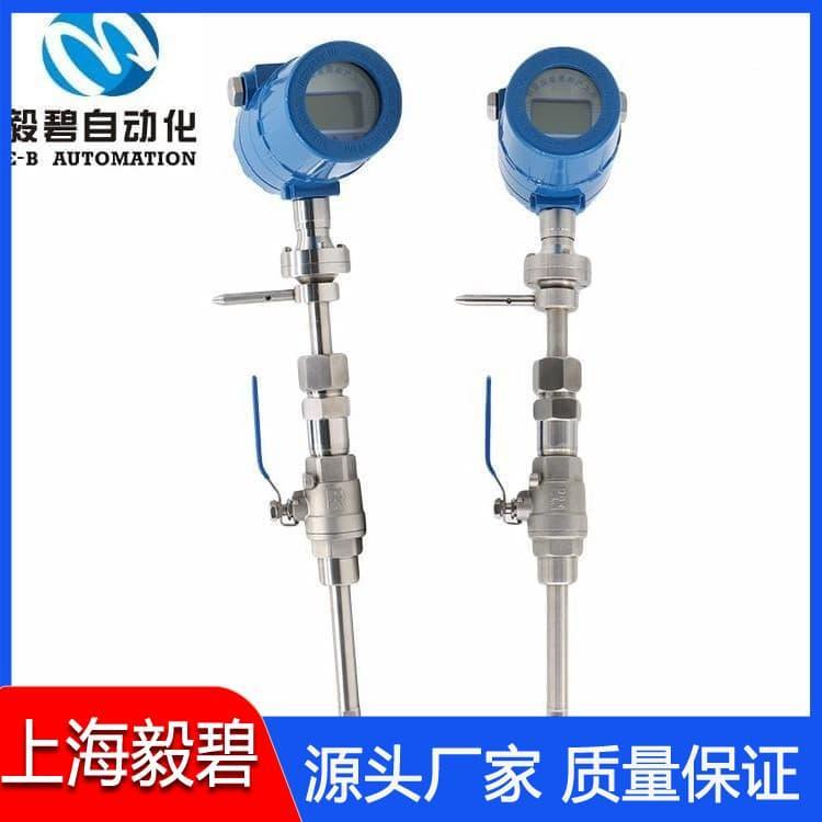 天然气热式气体质量流量计专业生产厂家  质量流量计技术参数