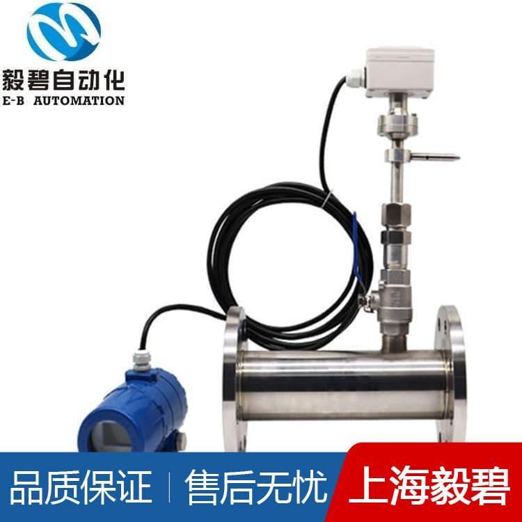 烟气热式气体质量流量计品质保证 热式质量流量计价格优惠