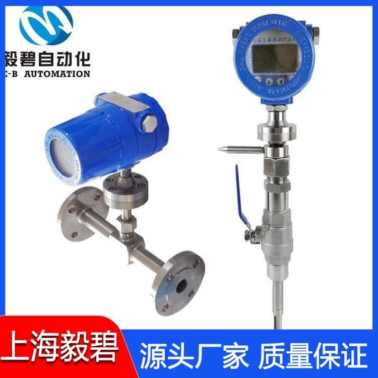 智能型热式气体质量流量计厂家供应 流量计品质保证