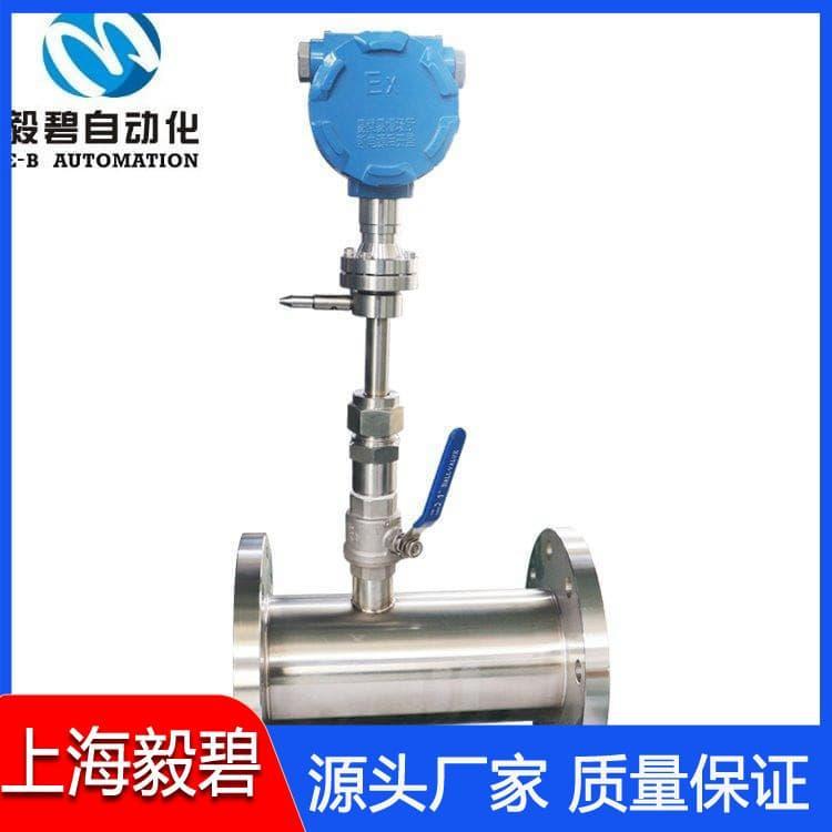 烟气热式气体质量流量计选型 质量流量计厂家直销