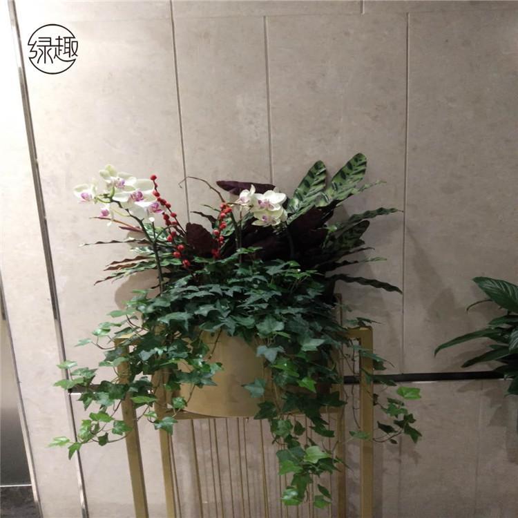 陕西花卉租摆陕西花卉租摆价格陕西花卉租赁陕西花卉租赁价格陕西花卉租赁价位陕西花卉租赁基地