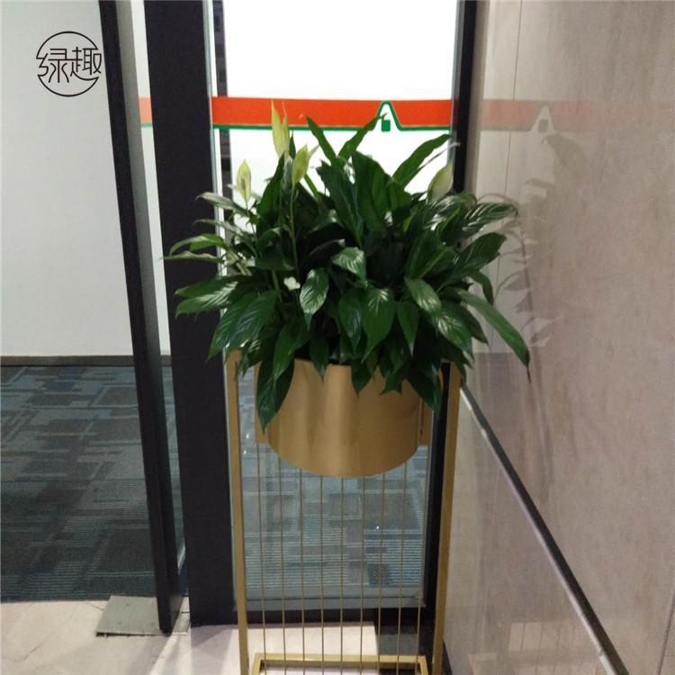 南郊花卉养护 盆栽联系方式花卉养护南郊花卉养护公司南郊花卉养护公司哪家好南郊花卉租赁南郊花卉租摆南郊花卉租赁价格南郊花卉租摆价格
