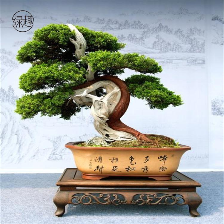 莲湖区花卉公司联系方式莲湖区花卉租摆莲湖区花卉租摆价格莲湖区花卉租摆价位莲湖区花卉租摆基地莲湖区花卉租摆公司莲湖区花卉租摆哪家好