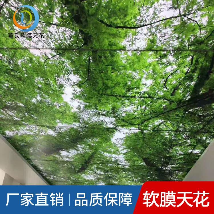 软膜天花吊顶 河北秦皇岛透光膜软膜吊顶 透光膜软膜吊顶生产商