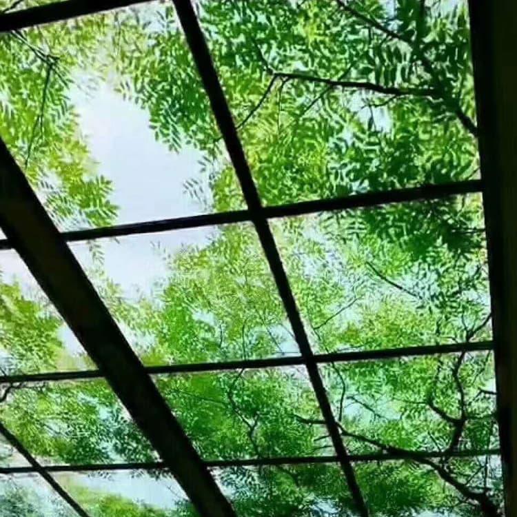 会议室软膜天花吊顶 山东烟台室内装修灯箱软膜 室内装修灯箱软膜耐老化