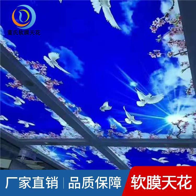 透光膜 山东德州透光膜 透光膜多种规格