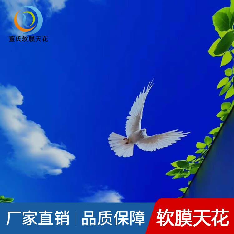 拉膜天花        供应洗浴软膜吊顶 洗浴软膜吊顶厂家批发定制