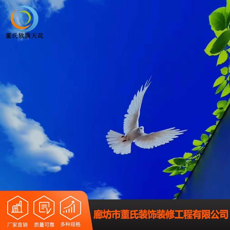 软膜天花吊顶 防火阻燃儿童游泳馆软膜吊顶 儿童游泳馆软膜吊顶厂家直销