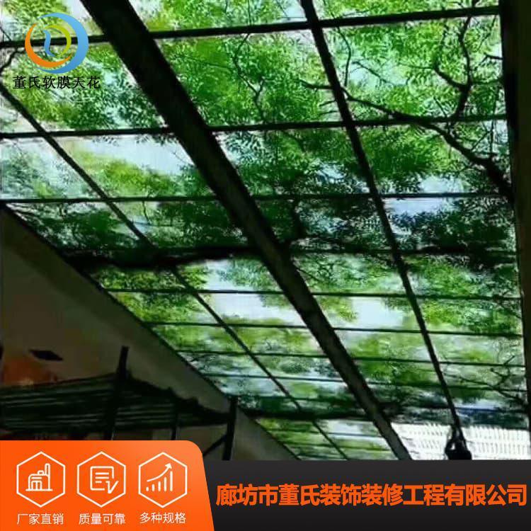 软膜天花吊顶 新颖美观透光膜吊顶 透光膜吊顶厂家直销现货供应