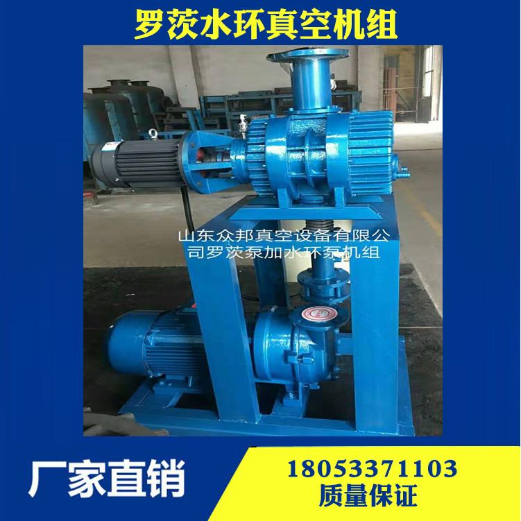生产厂液环式真空泵批发选型多少钱