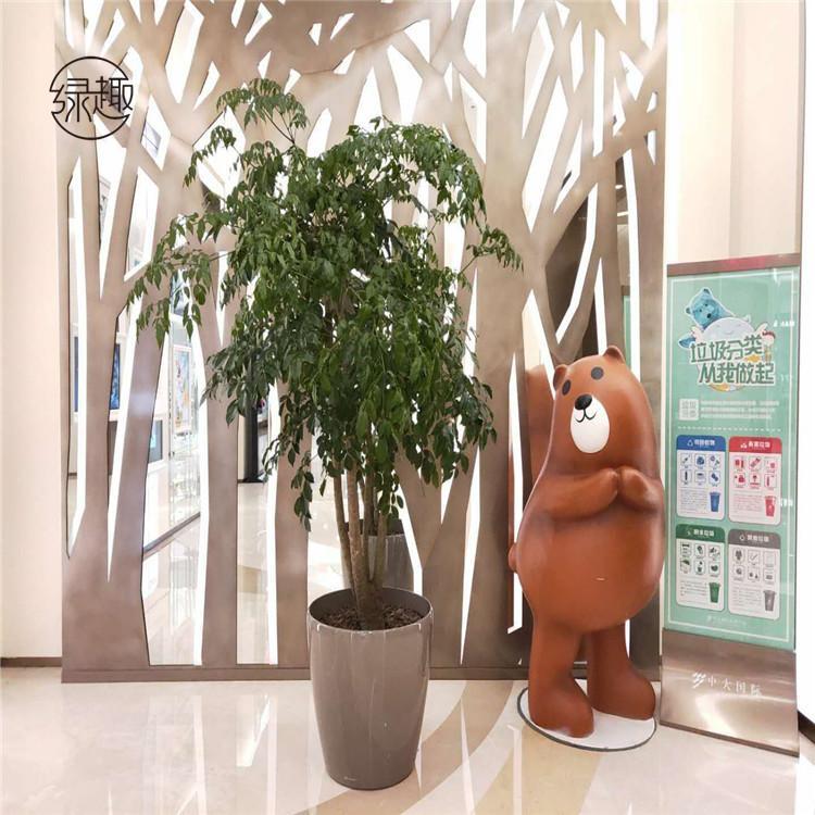 雁塔区花卉租赁公司 绿植租售收费标椎